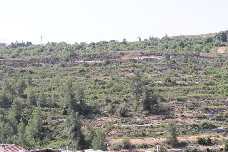 מהסמארטפון שלי